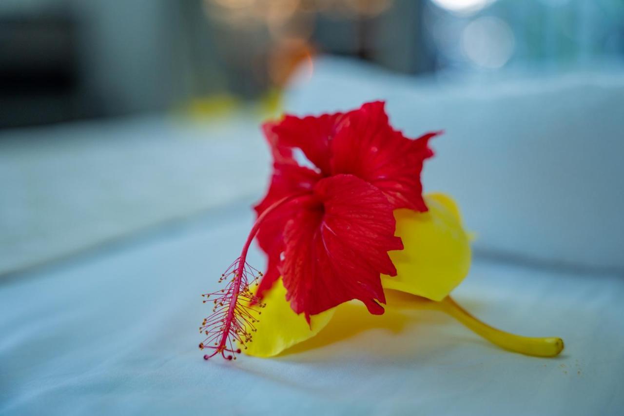 Paradise Breeze *